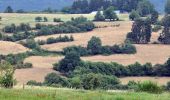 Trail On foot Stoumont - 8. Promenade du Rofthier - Photo 7