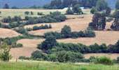 Trail On foot Stoumont - 8. Promenade du Rofthier - Photo 4
