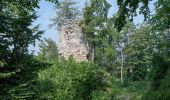 Tour Zu Fuß Micheldorf in Oberösterreich - Kulturweg - Photo 7