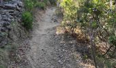 Trail Walking Zonza - fautèa - lavu santu - Photo 4