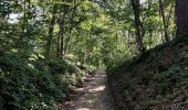 Trail Walking Beauvechain - L’écluse : douce campagne Brabançonne  - Photo 2