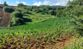 Excursión Senderismo Le Lorrain - Boucle Vallon - Moreau - Carabin - Chemin Etoile - Photo 8