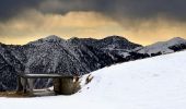 Percorso A piedi Collio - Collio (Tizio) - Monte Colombine - Photo 2