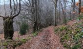 Trail Walking Aywaille - sedoz - vert-buisson (via ninglinspo) - porallée - vieux chera - sedoz - Photo 2