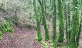 Tocht Stappen La Couvertoirade - Jour 3 - Larzac - La Couvertoirade - Cornus - Photo 2