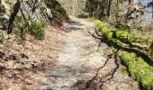 Trail Walking Bertrix - Auby sur Semois 140324 - Photo 15