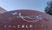 Trail Walking Forcalquier - forcalquier,les mourres - Photo 1