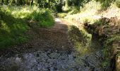 Excursión Senderismo Saint-Martin-Boulogne - randonnée  blanc pignon Mont Lambert - Photo 9