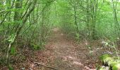 Trail Mountain bike Saint-Clément - sortie vtt du 07062020 Embermenil - Photo 7