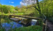 Trail Walking Thuin - Balade dans le Bois du Grand Bon Dieu-Thuin - Photo 10