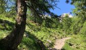 Tour Wandern Ceillac - De Chaurionde au lac Saint Anne - Photo 4