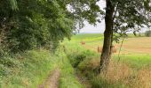 Tour Wandern Nivelles - Monstrueux 21.4 km - Photo 9