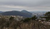 Trail Walking Besançon - Brégille, Beauregard  - Photo 16