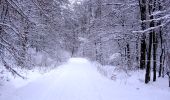 Trail On foot Auetal - HO7 - Hohenstein Route - Photo 3