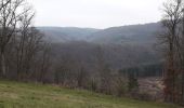 Randonnée Marche La Roche-en-Ardenne - Warempage 101220 - Photo 1