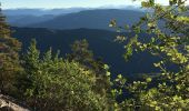 Trail Trail Beaumont-du-Ventoux - Ventoux-05072020 - Photo 2