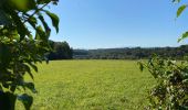 Tour Wandern Susmiou - GR 65 Navarrenx > Lichos - Photo 14