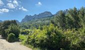 Excursión Senderismo Gigondas - Dentelle  - Photo 1