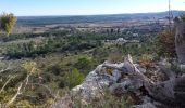 Trail Walking Saint-Bauzille-de-Montmel - Puech des Mourgues - Photo 5