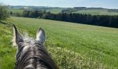 Trail Horseback riding Bastogne - Luxembourg  - Photo 1