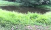 Trail Trail Sainte-Anne - Saint Anne  - Photo 5