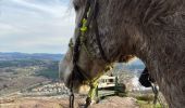 Percorso Equitazione Raon-l'Étape - Chapelle des pestiférés yoigo Tivio  - Photo 8