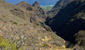 Randonnée Marche Los Silos - Los Silos Cuevas Negra monte del Agua - Photo 6