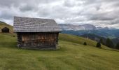Tour Wandern St. Martin in Thurn - Vom Würzjoch um dem Peitlerkofe - Photo 4