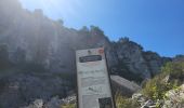 Excursión Senderismo Tournemire - Tournemire - Cirque de Brias et sentier des échelles depuis Roquefort - Photo 15