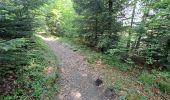 Trail Walking Séchilienne - Réserve naturelle du lac Luitel - Photo 4