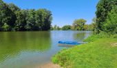 Randonnée A pied Kostelec nad Labem - CZ-3088 - Photo 8