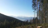 Tour Wandern Hohwald - Le Hohwald - Photo 2