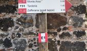 Excursión A pie Nicolosi - Sentiero delle Ginestre tappa 1 - Photo 4