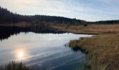 Tour Wandern Weismes - Sourbrodt - Schwarzbad - Photo 6