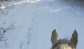 Randonnée Randonnée équestre Saint-Martin - neige kaline vispa  - Photo 3