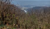 Tocht Stappen Dortan - vouais. la pierre qui vire.la cascade de la combe. - Photo 3