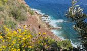 Excursión Senderismo Le Pradet - les oursini - Photo 1