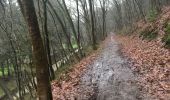 Tour Zu Fuß Nandrin - Les rochettes Bois des dames - Photo 4