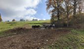 Tour Wandern La Fouillouse - Randonnée au dessus de La Fouillouse  - Photo 7