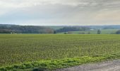 Randonnée Marche Gerpinnes - Campagne Les Bruyères GR 129 Tournibus - Photo 4