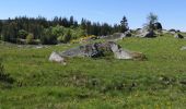 Randonnée Marche Saint-Laurent-de-Muret - la Blatte Aubrac  - Photo 1