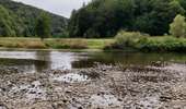 Trail Walking Bouillon - Promenade du Moulin du Rivage. (3,5km) - Photo 3