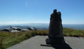 Percorso A piedi Ceyssat - Le Puy de Dôme - Photo 2