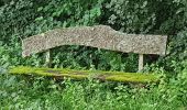 Percorso Marcia Sélestat - Sélestat le Grand Ried - balade dans la forêt de l'II - passerelles - Photo 2