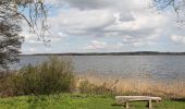 Tour Zu Fuß Kosel - Schleiroute an der Großen Breite - Photo 1