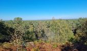 Tocht Stappen Fontainebleau - Sentier Denecourt 3 - Photo 8