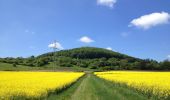 Tour Zu Fuß Wolfhagen - Habichtswaldsteig - Extratour Wolfhagen - Photo 2