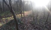 Excursión Senderismo Brou-sur-Chantereine - brou 18-12 - Photo 18