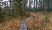 Trail Walking Jalhay - Hoegne-Polleur-Statte-Dolmen - Photo 20