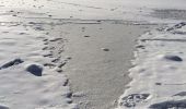 Tocht Sneeuwschoenen Matemale - Tour lac mattemale neige  - Photo 5